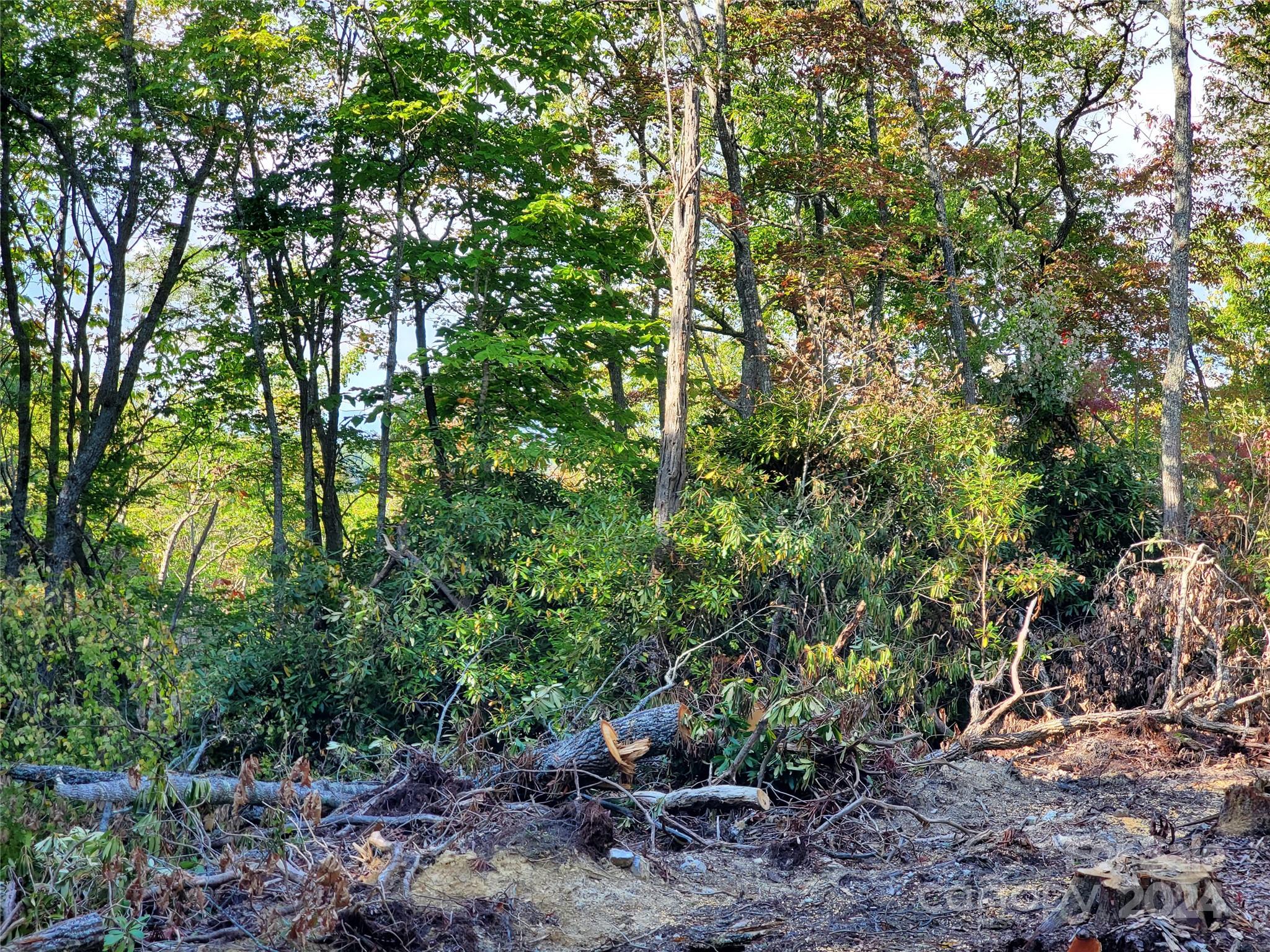 Tbd Parkwood Hill Road Spruce Pine NC 28777