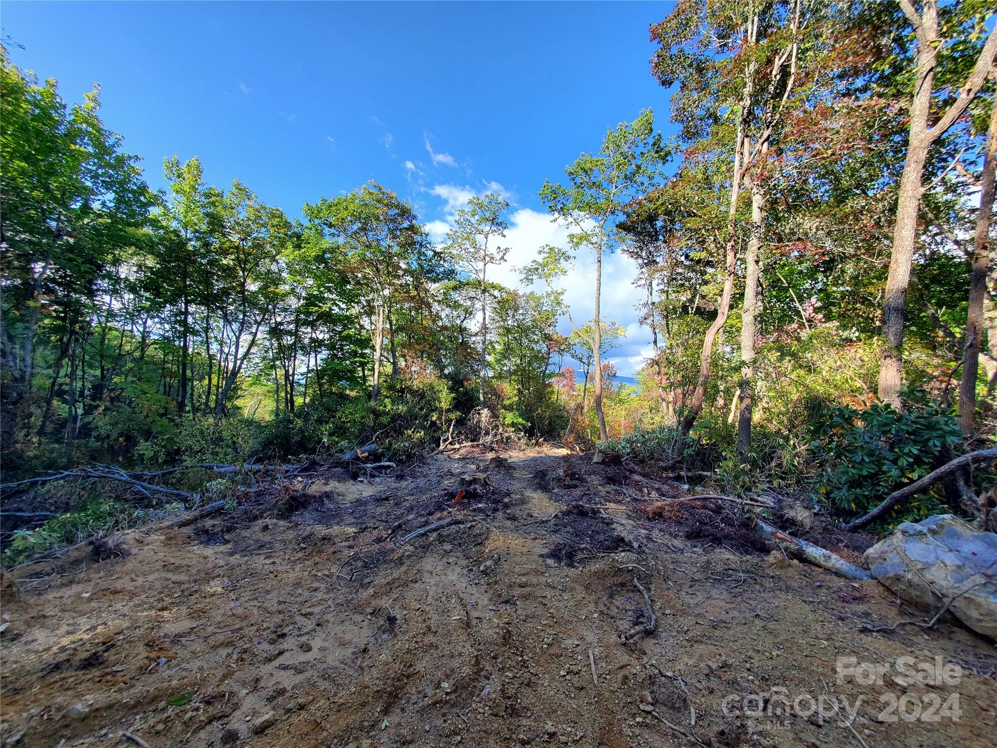 Tbd Parkwood Hill Road Spruce Pine NC 28777