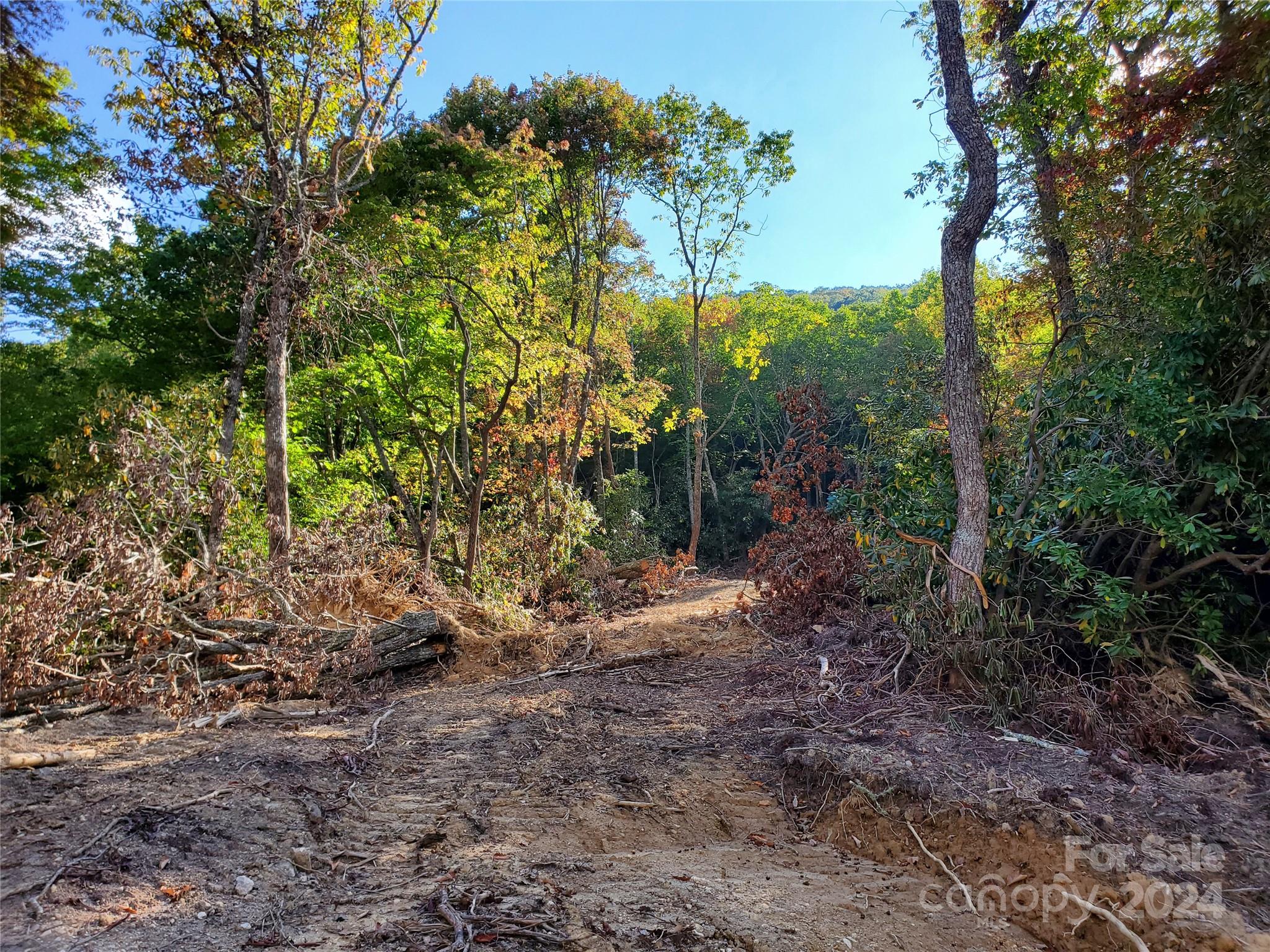 Tbd Parkwood Hill Road Spruce Pine NC 28777