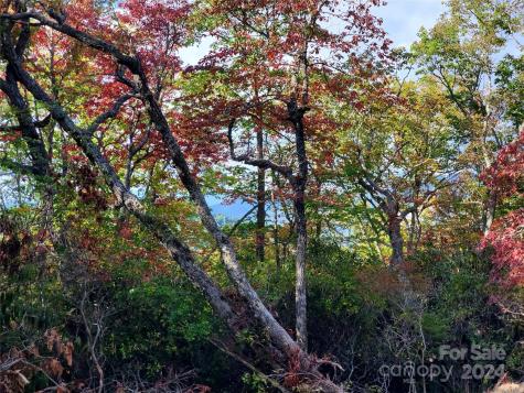 Tbd Parkwood Hill Road Spruce Pine NC 28777