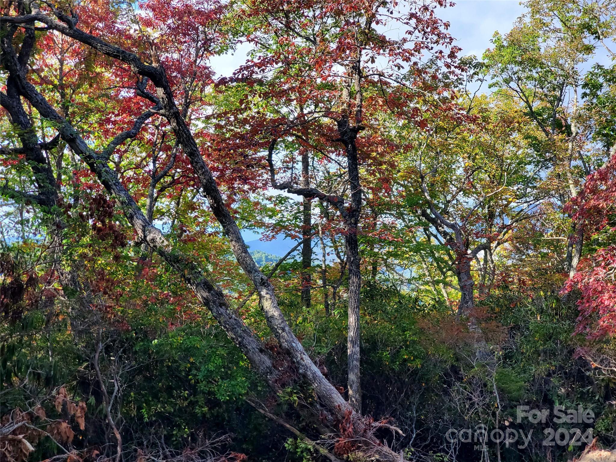 Tbd Parkwood Hill Road Spruce Pine NC 28777