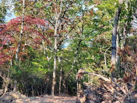 Tbd Parkwood Hill Road Spruce Pine NC 28777