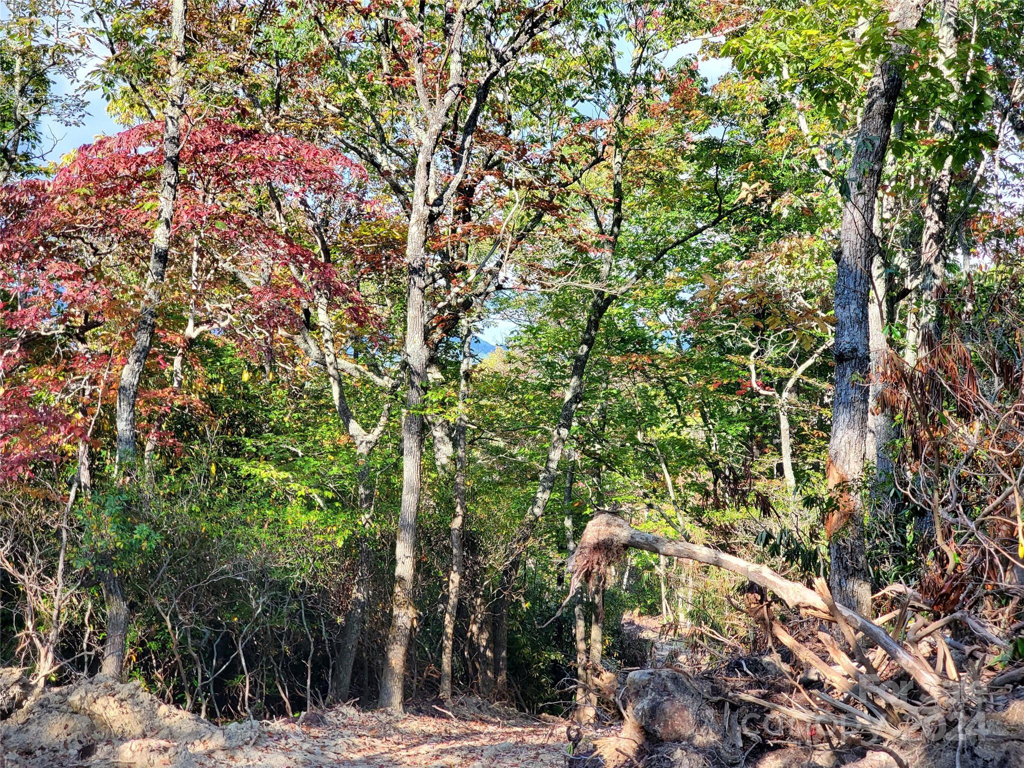 Tbd Parkwood Hill Road Spruce Pine NC 28777