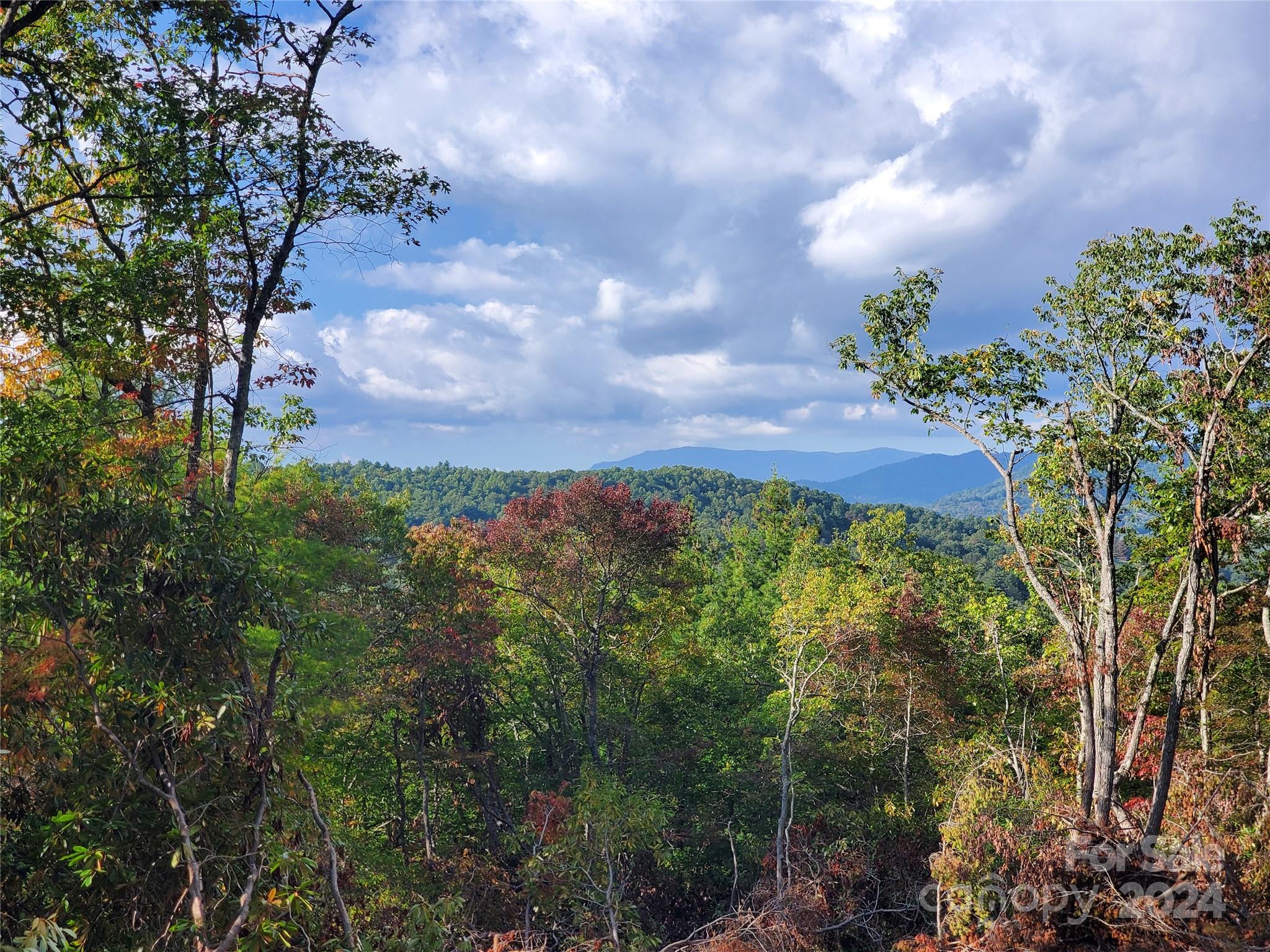 Tbd Parkwood Hill Road Spruce Pine NC 28777