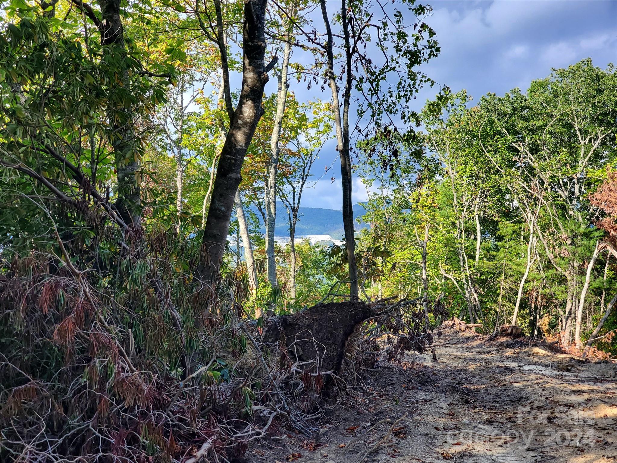 Tbd Parkwood Hill Road Spruce Pine NC 28777