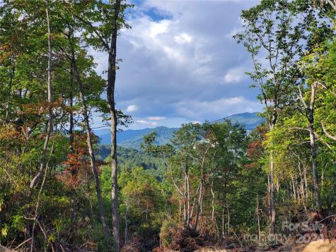 Tbd Parkwood Hill Road Spruce Pine NC 28777