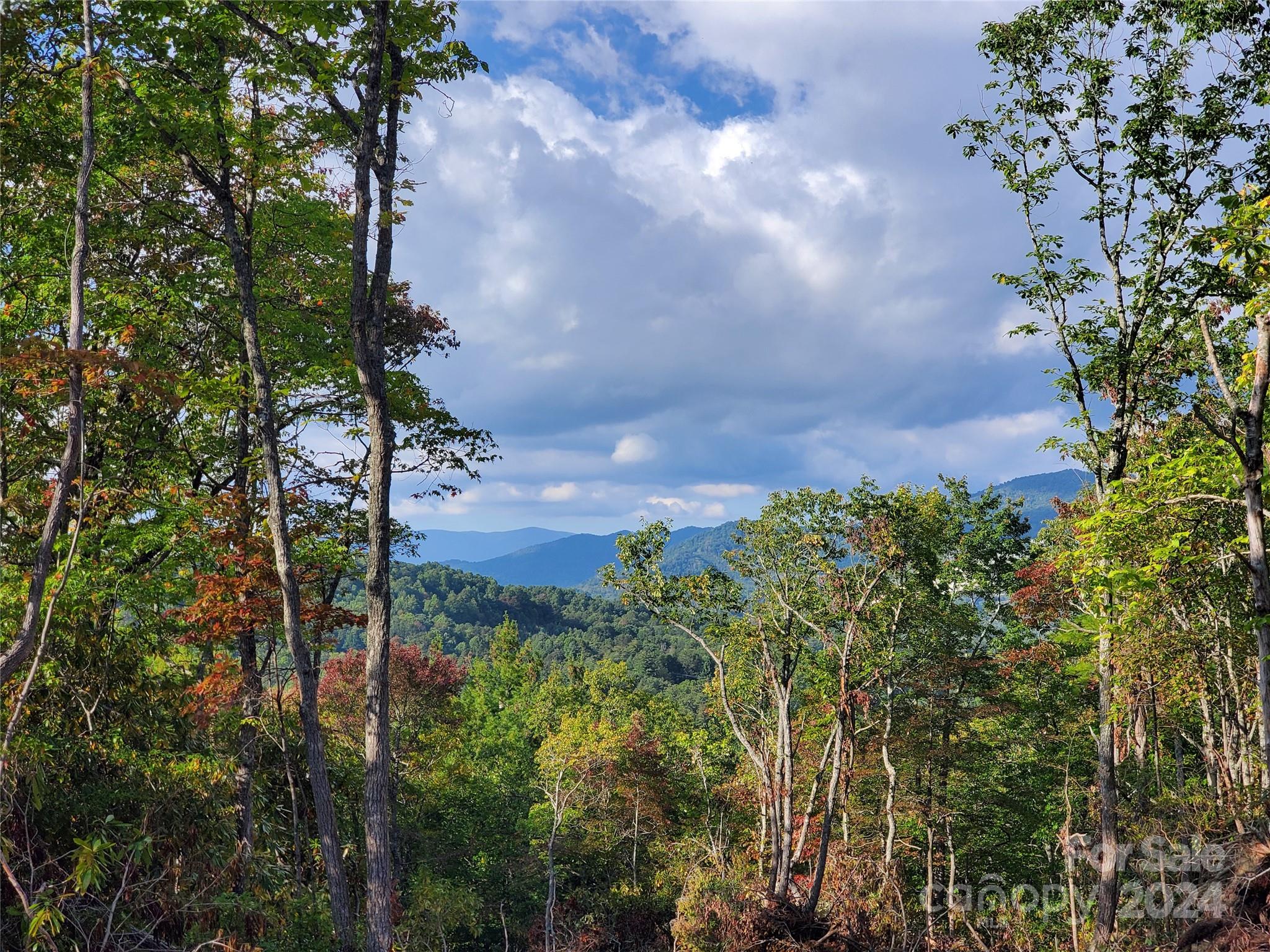 Tbd Parkwood Hill Road Spruce Pine NC 28777