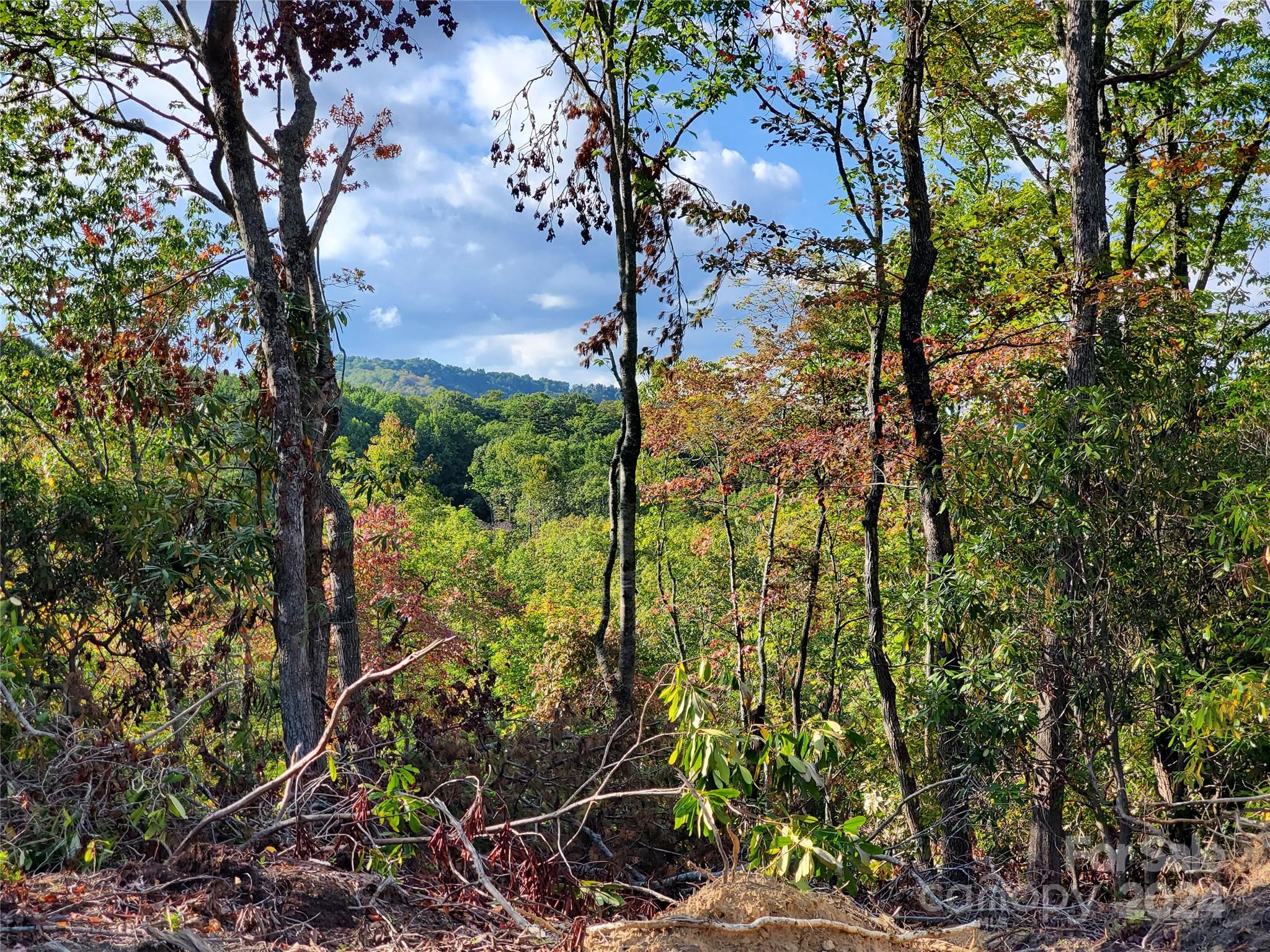 Tbd Parkwood Hill Road Spruce Pine NC 28777