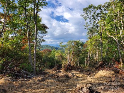 Tbd Parkwood Hill Road Spruce Pine NC 28777