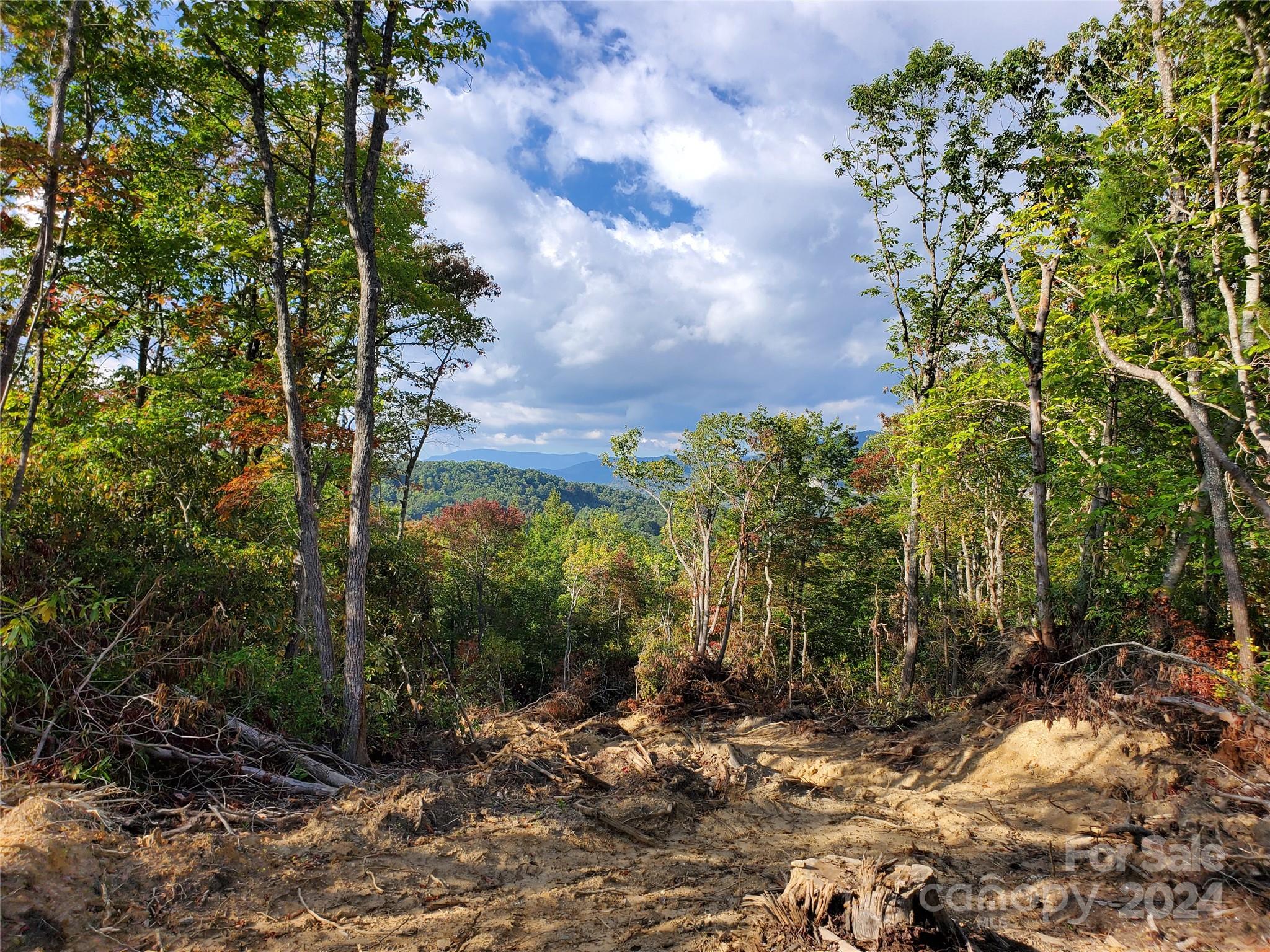 Tbd Parkwood Hill Road Spruce Pine NC 28777