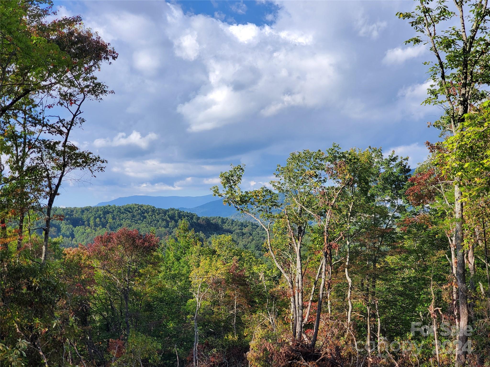 Tbd Parkwood Hill Road Spruce Pine NC 28777