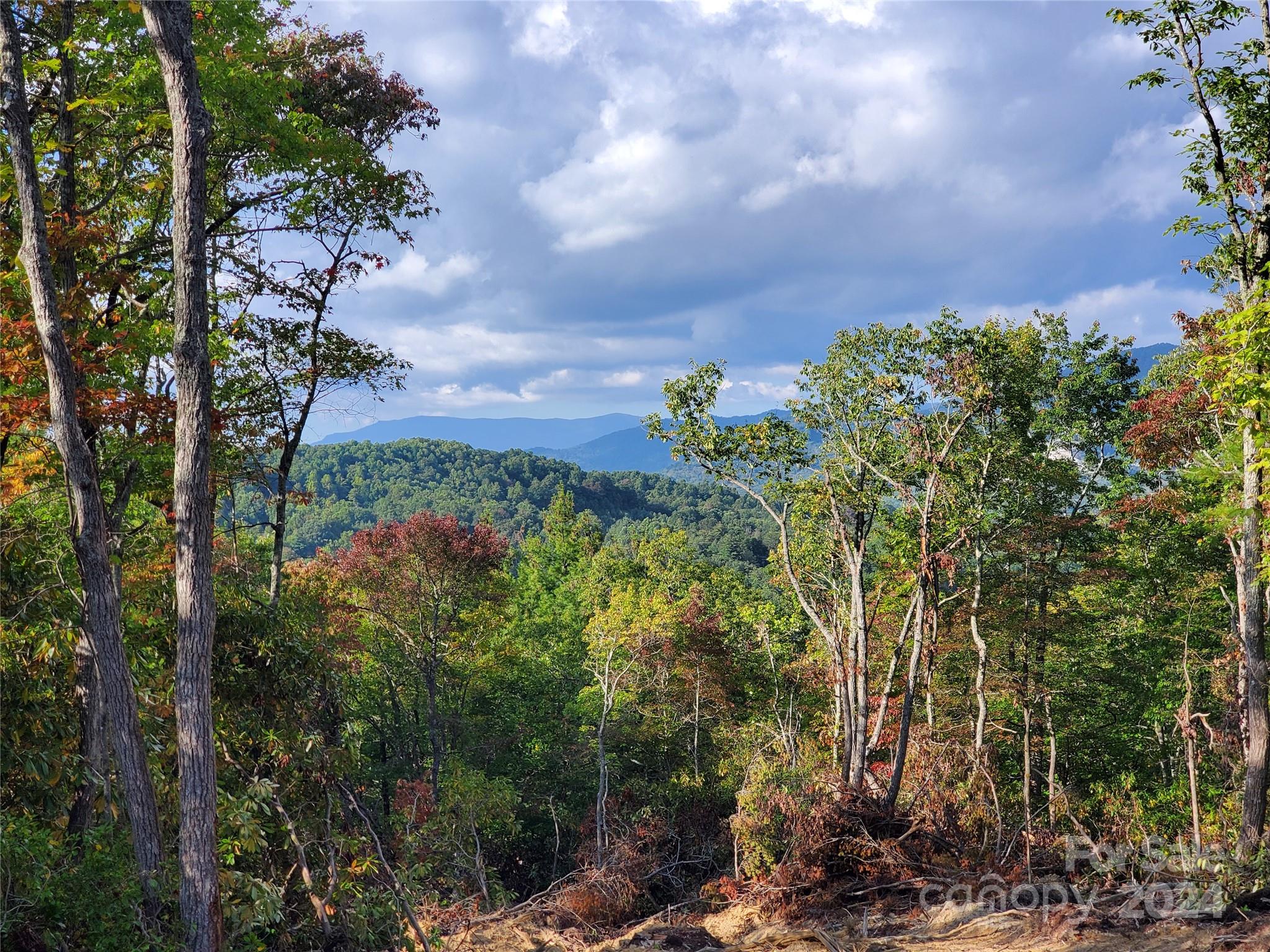 Tbd Parkwood Hill Road Spruce Pine NC 28777