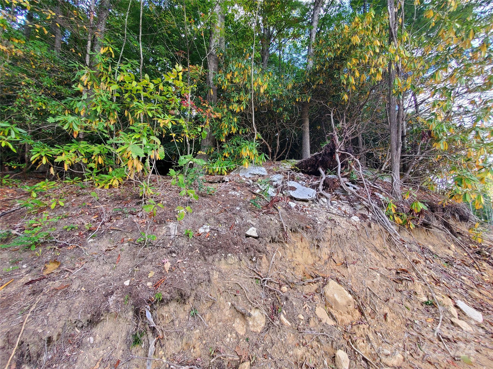 Tbd Parkwood Hill Road Spruce Pine NC 28777