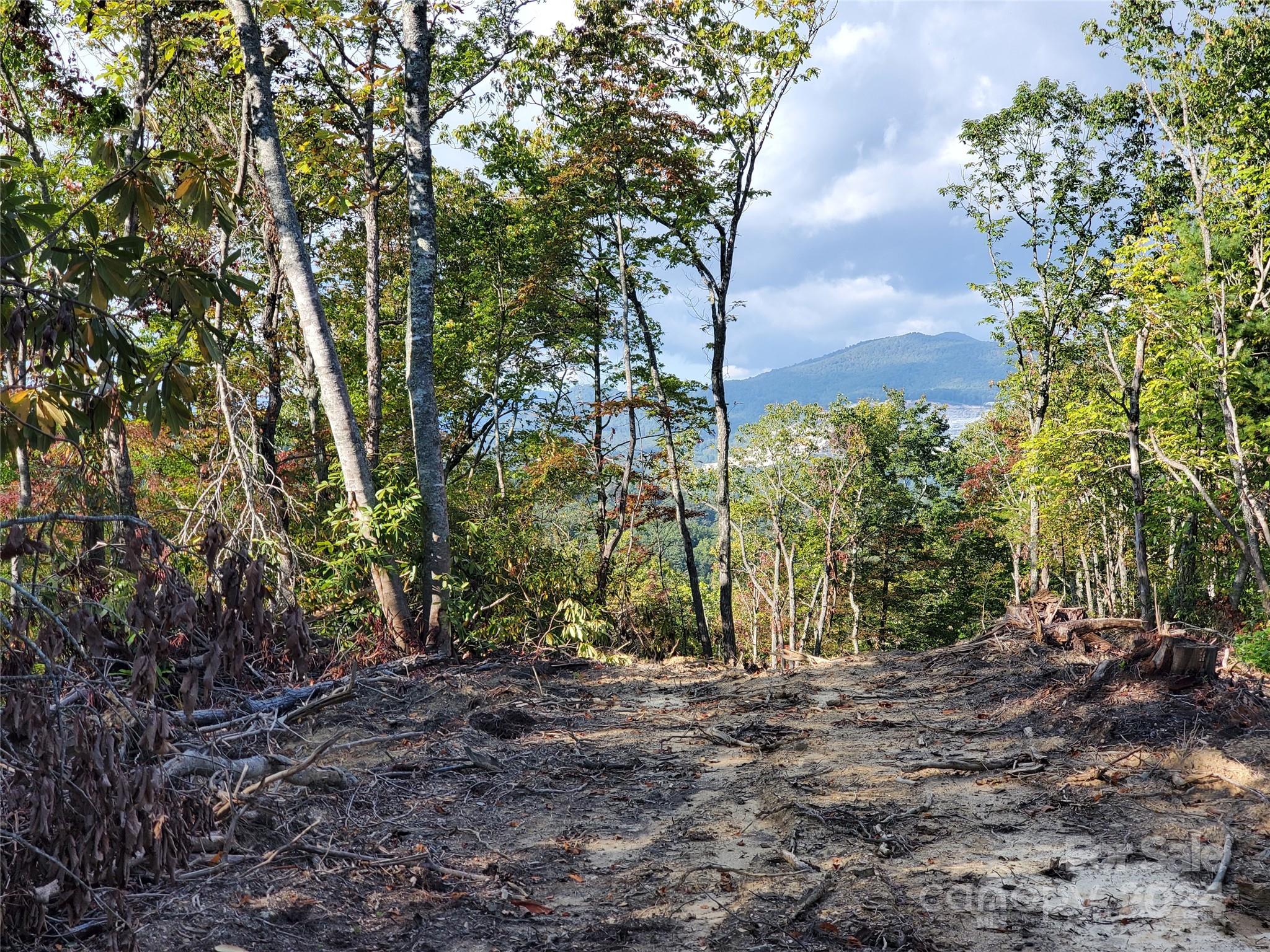 Tbd Parkwood Hill Road Spruce Pine NC 28777