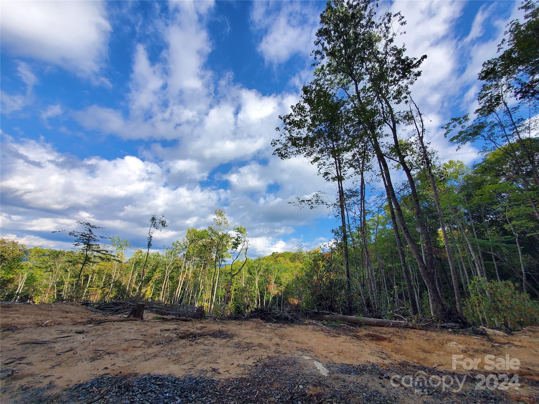 Tbd Parkwood Hill Road Spruce Pine NC 28777