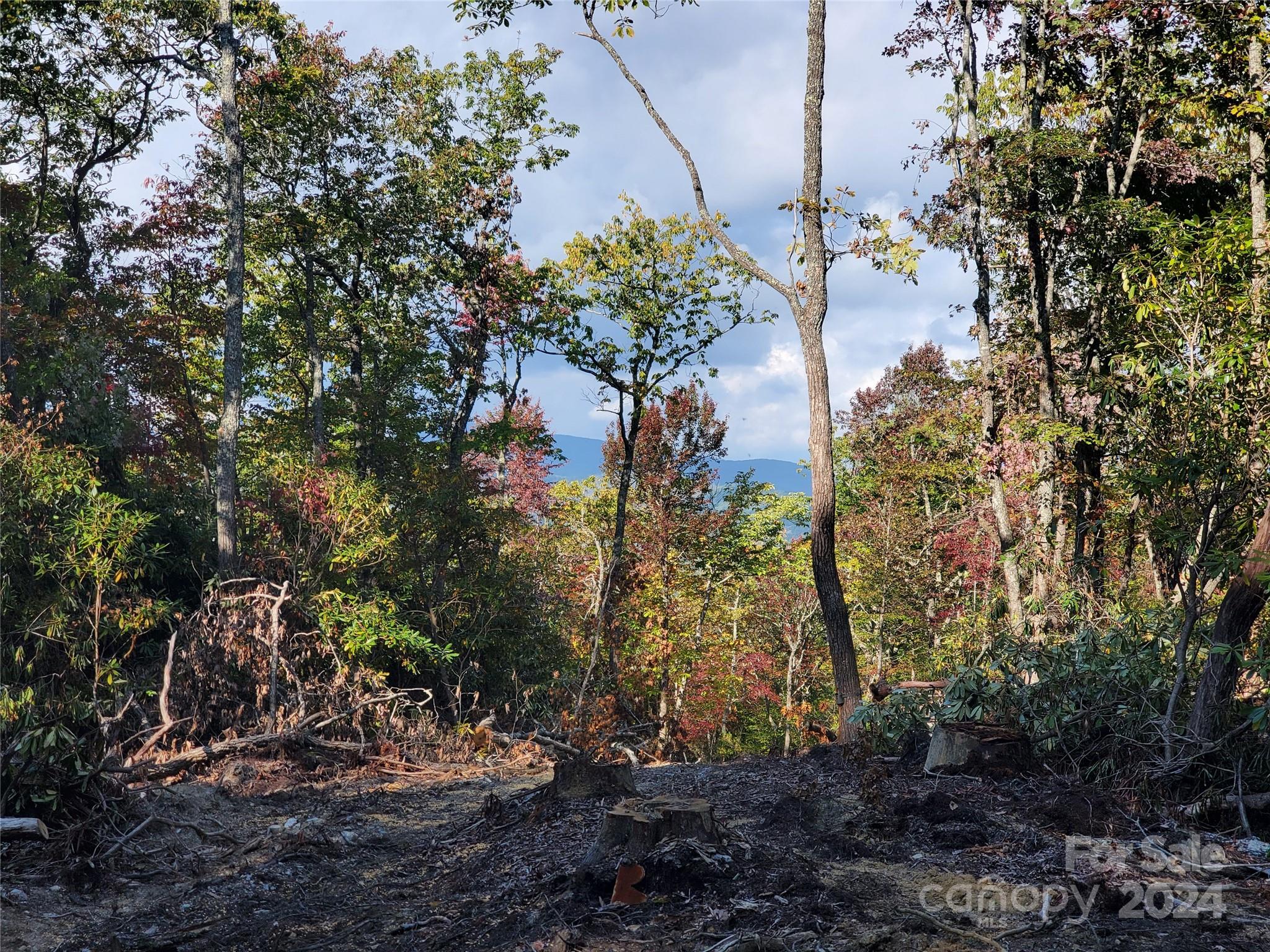 Tbd Parkwood Hill Road Spruce Pine NC 28777