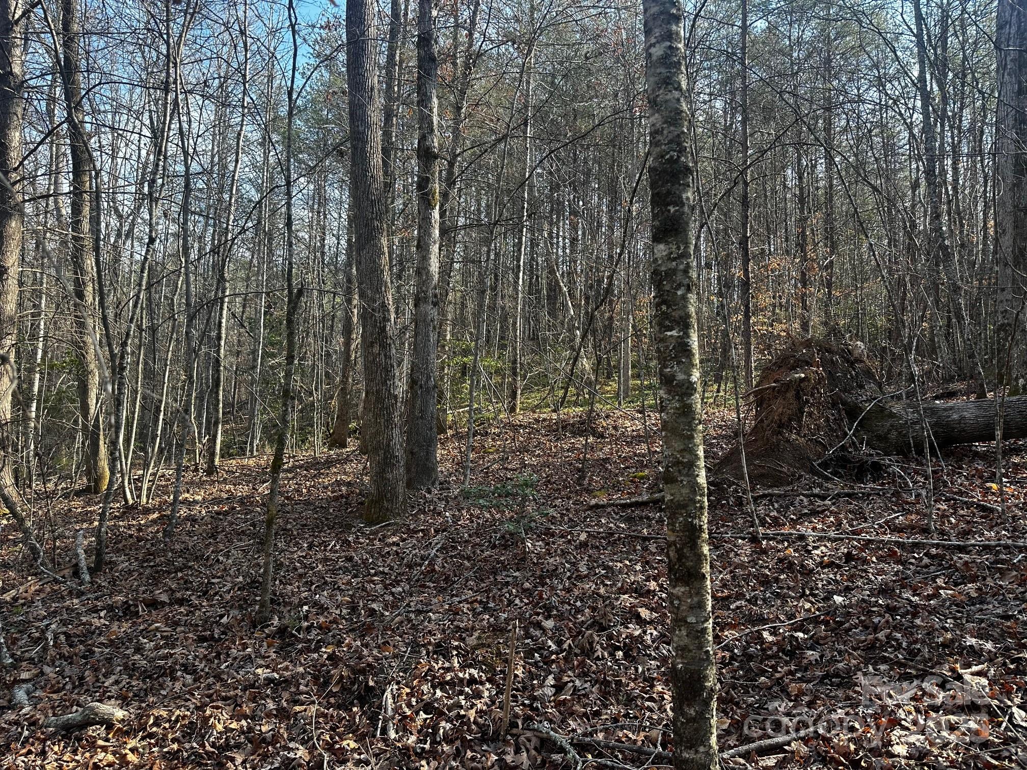 0000 Grassy Knob Road Lake Lure NC 28746
