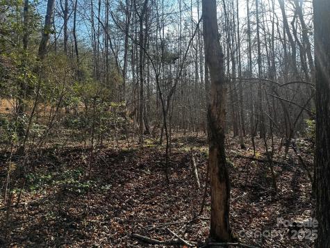 0000 Grassy Knob Road Lake Lure NC 28746