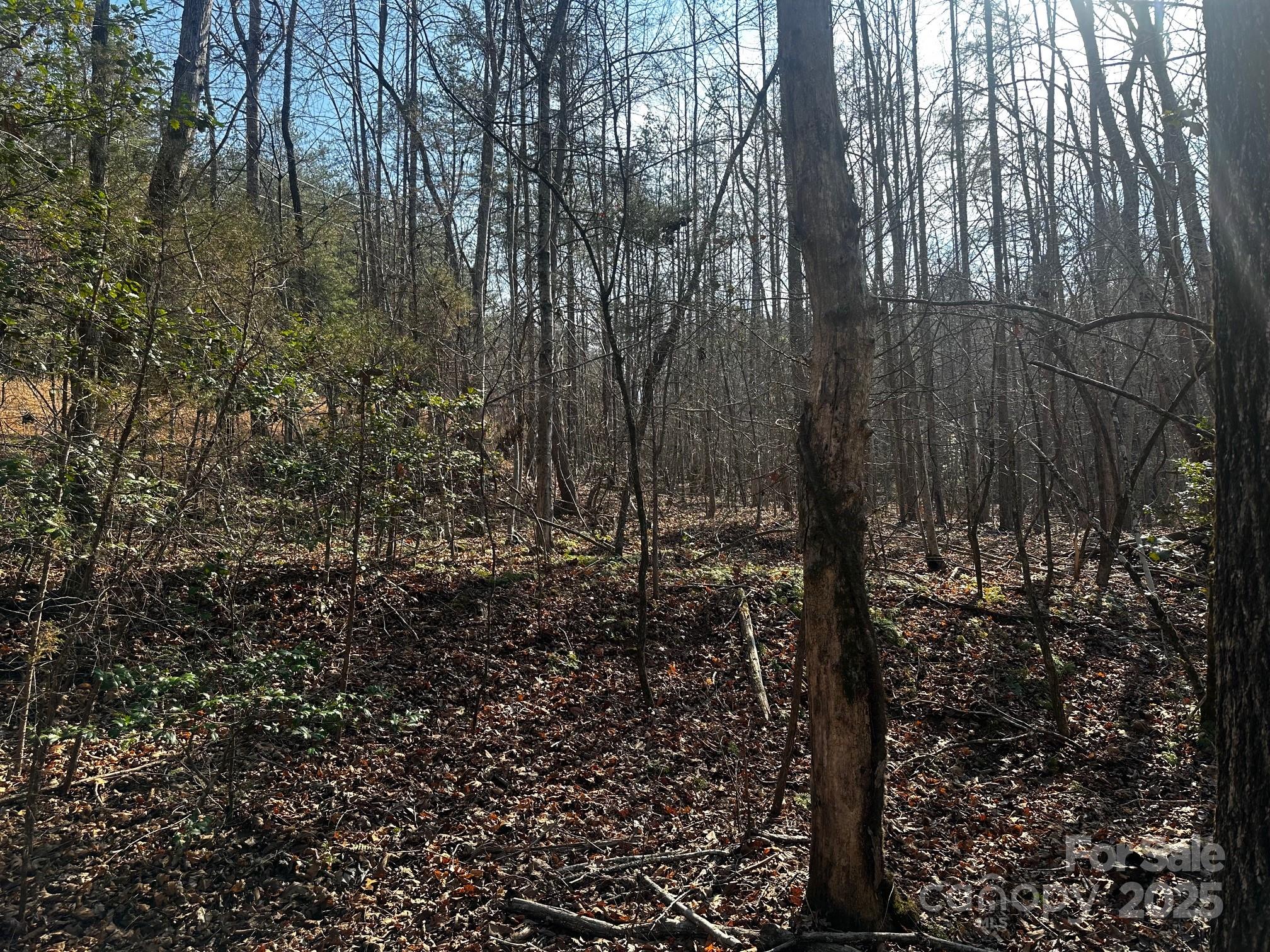 0000 Grassy Knob Road Lake Lure NC 28746