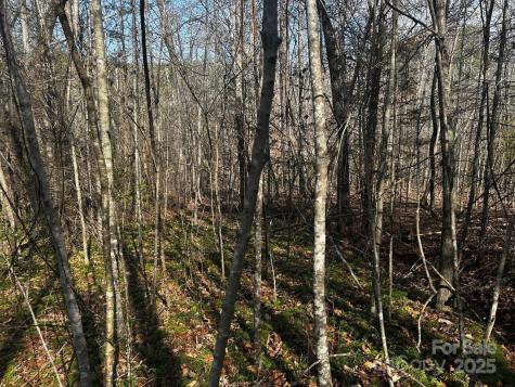 0000 Grassy Knob Road Lake Lure NC 28746