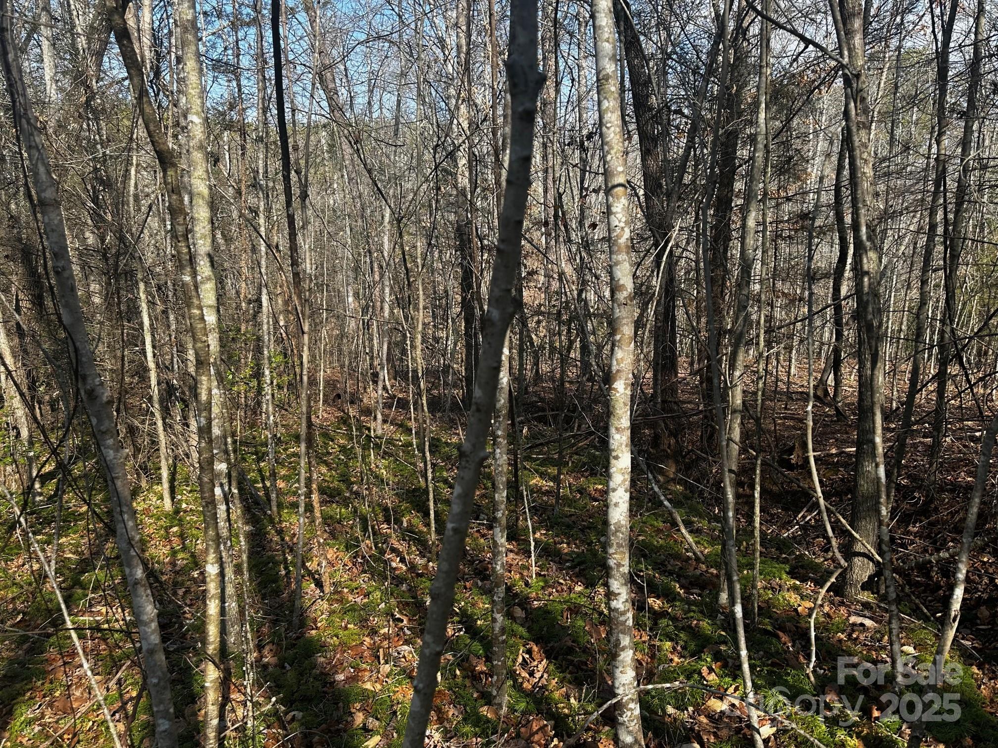 0000 Grassy Knob Road Lake Lure NC 28746