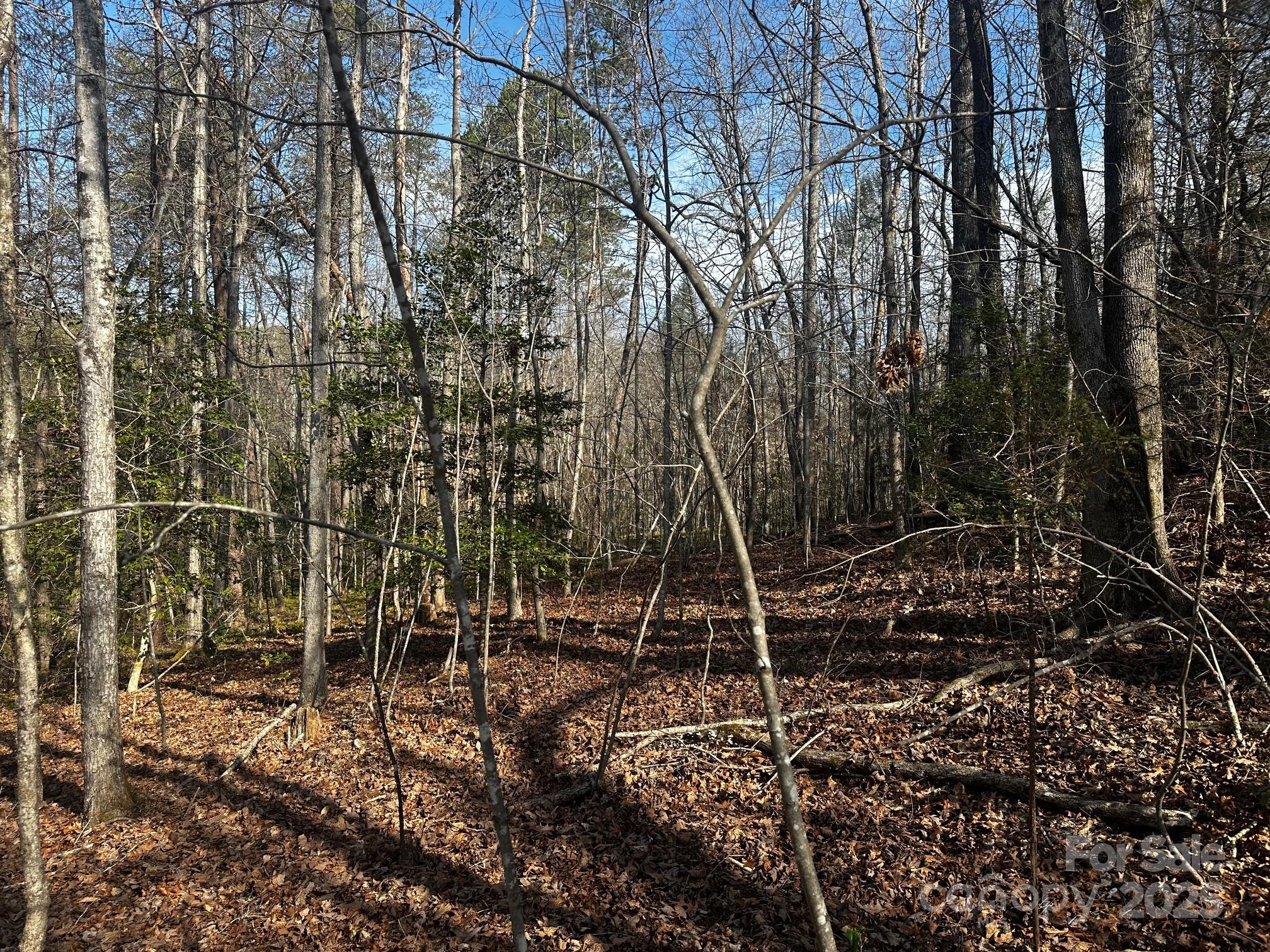 0000 Grassy Knob Road Lake Lure NC 28746
