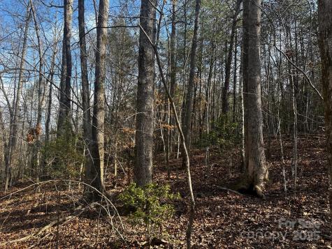 0000 Grassy Knob Road Lake Lure NC 28746