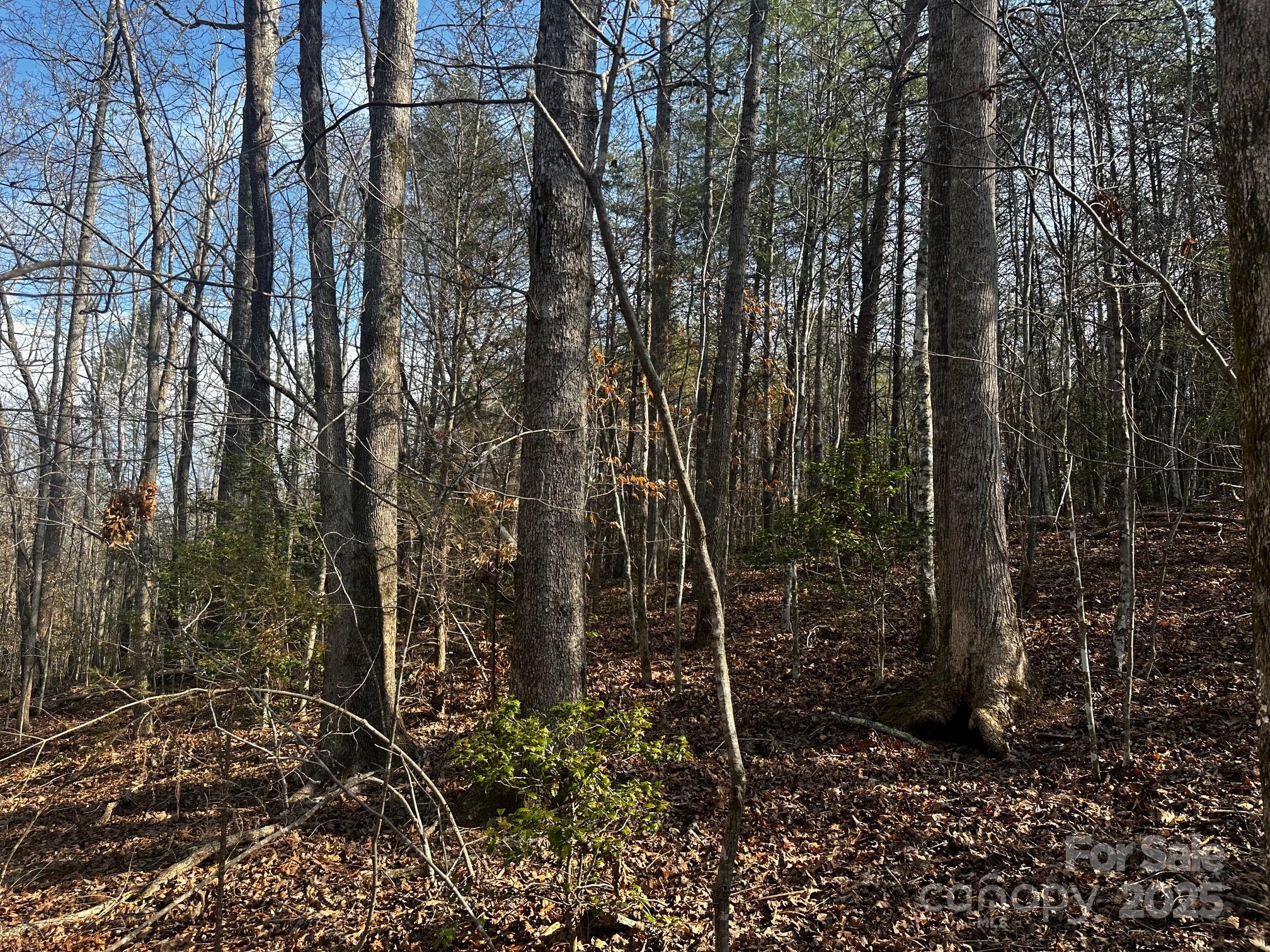 0000 Grassy Knob Road Lake Lure NC 28746