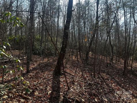 0000 Grassy Knob Road Lake Lure NC 28746