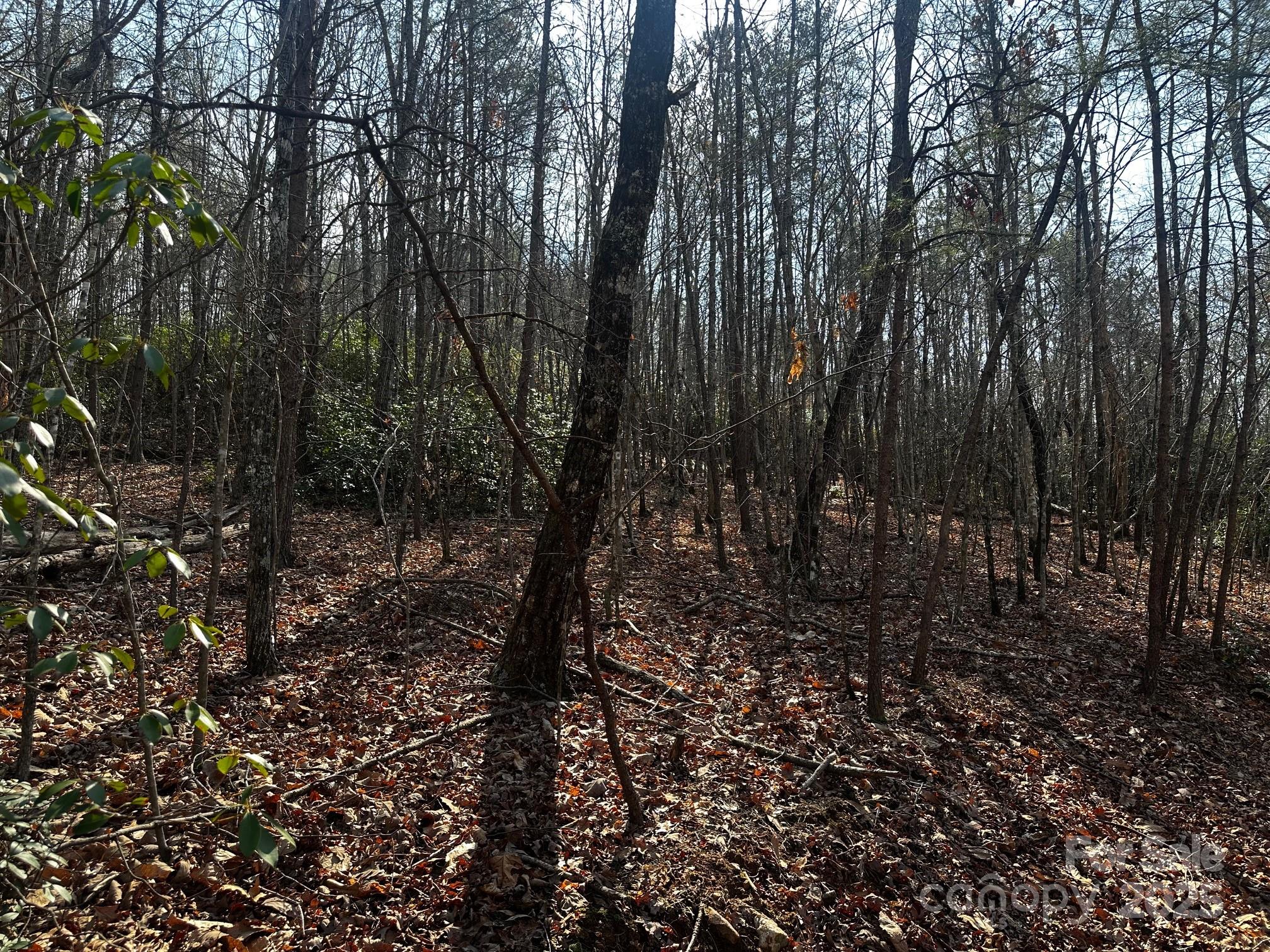 0000 Grassy Knob Road Lake Lure NC 28746