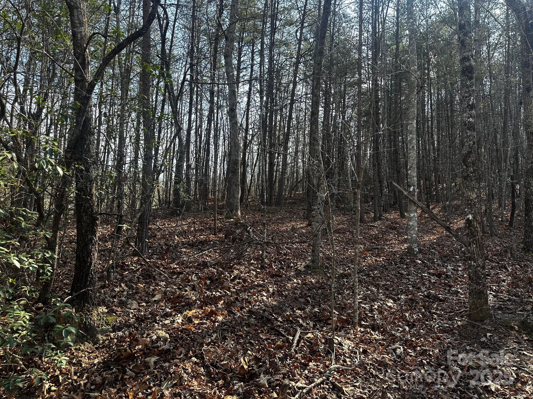 0000 Grassy Knob Road Lake Lure NC 28746