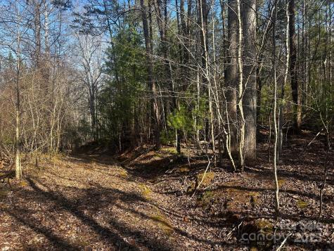 0000 Grassy Knob Road Lake Lure NC 28746
