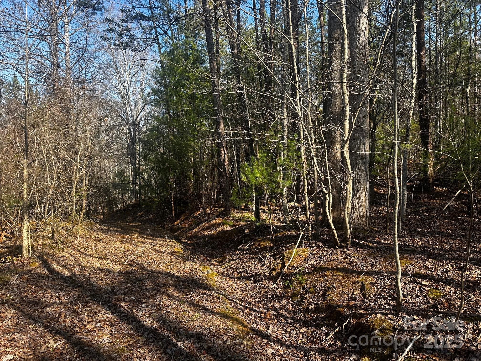 0000 Grassy Knob Road Lake Lure NC 28746