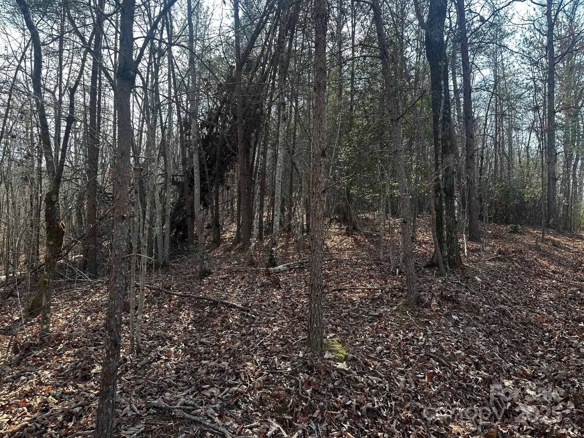 0000 Grassy Knob Road Lake Lure NC 28746