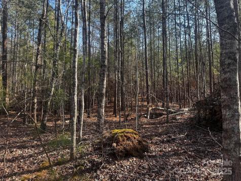 0000 Grassy Knob Road Lake Lure NC 28746