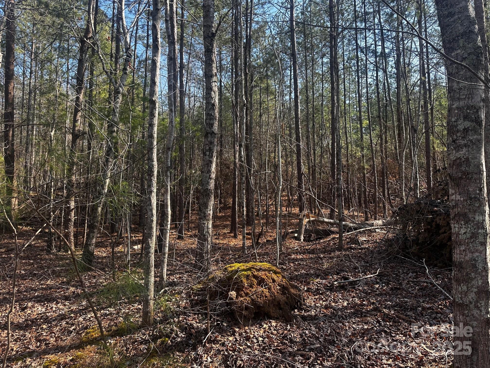 0000 Grassy Knob Road Lake Lure NC 28746