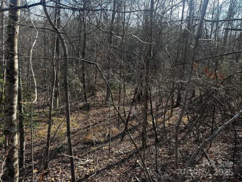 0000 Grassy Knob Road Lake Lure NC 28746