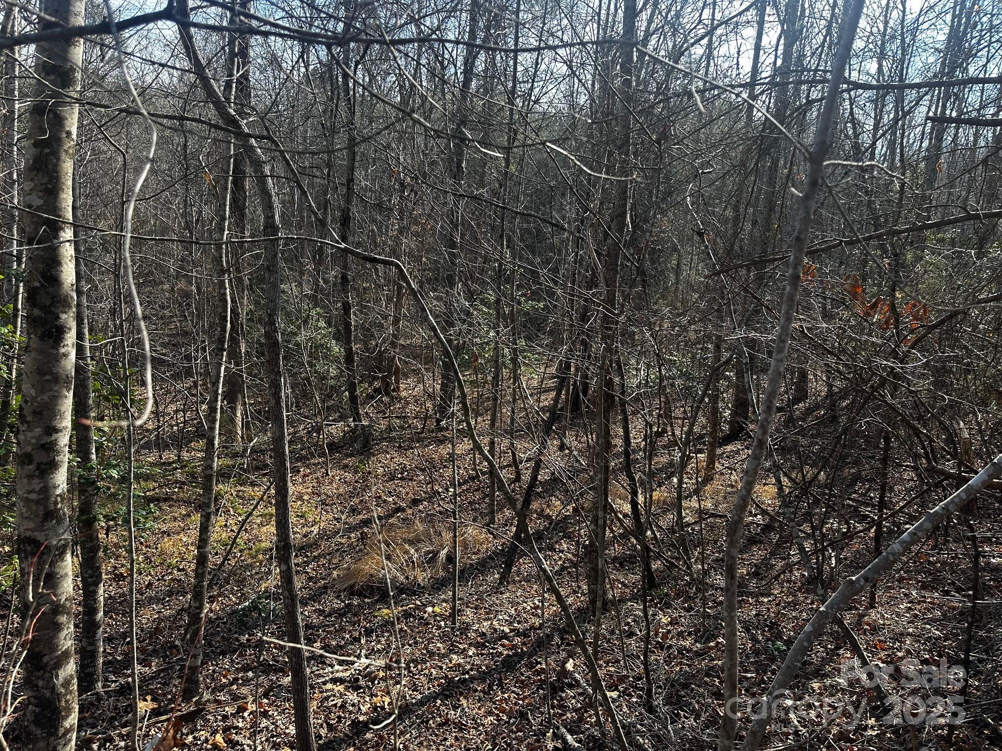 0000 Grassy Knob Road Lake Lure NC 28746