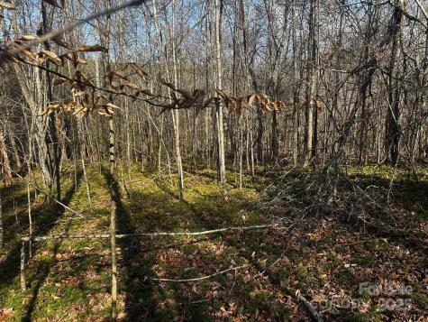 0000 Grassy Knob Road Lake Lure NC 28746