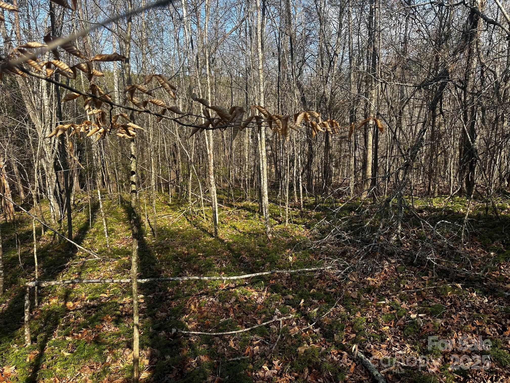 0000 Grassy Knob Road Lake Lure NC 28746