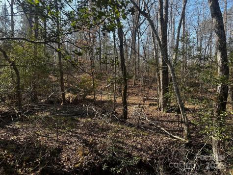 0000 Grassy Knob Road Lake Lure NC 28746