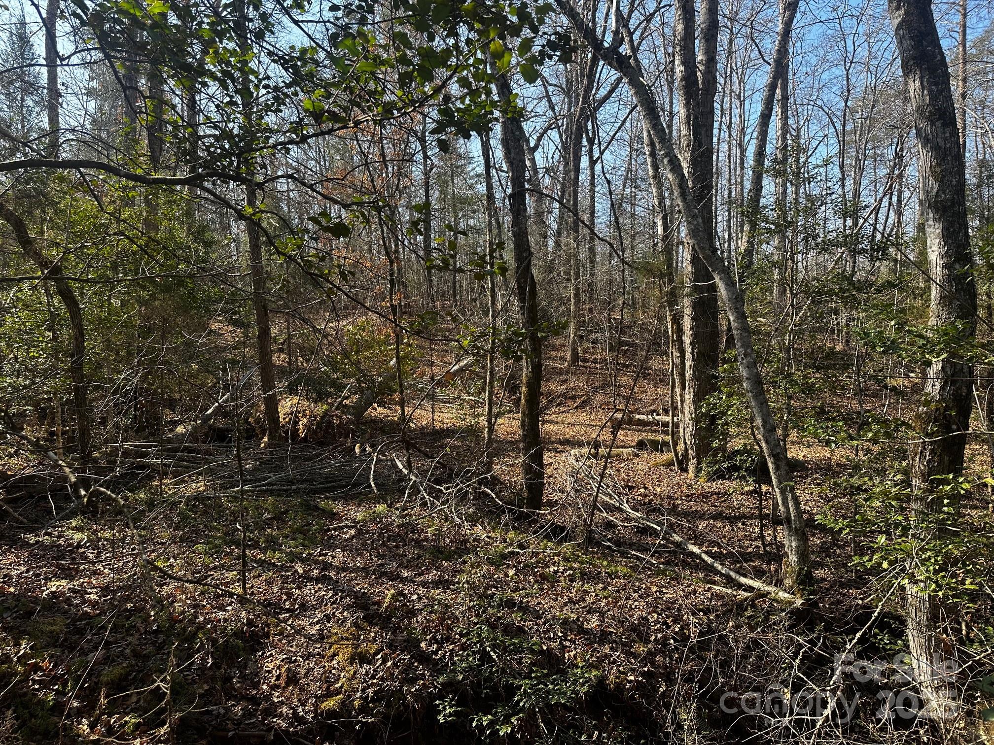 0000 Grassy Knob Road Lake Lure NC 28746