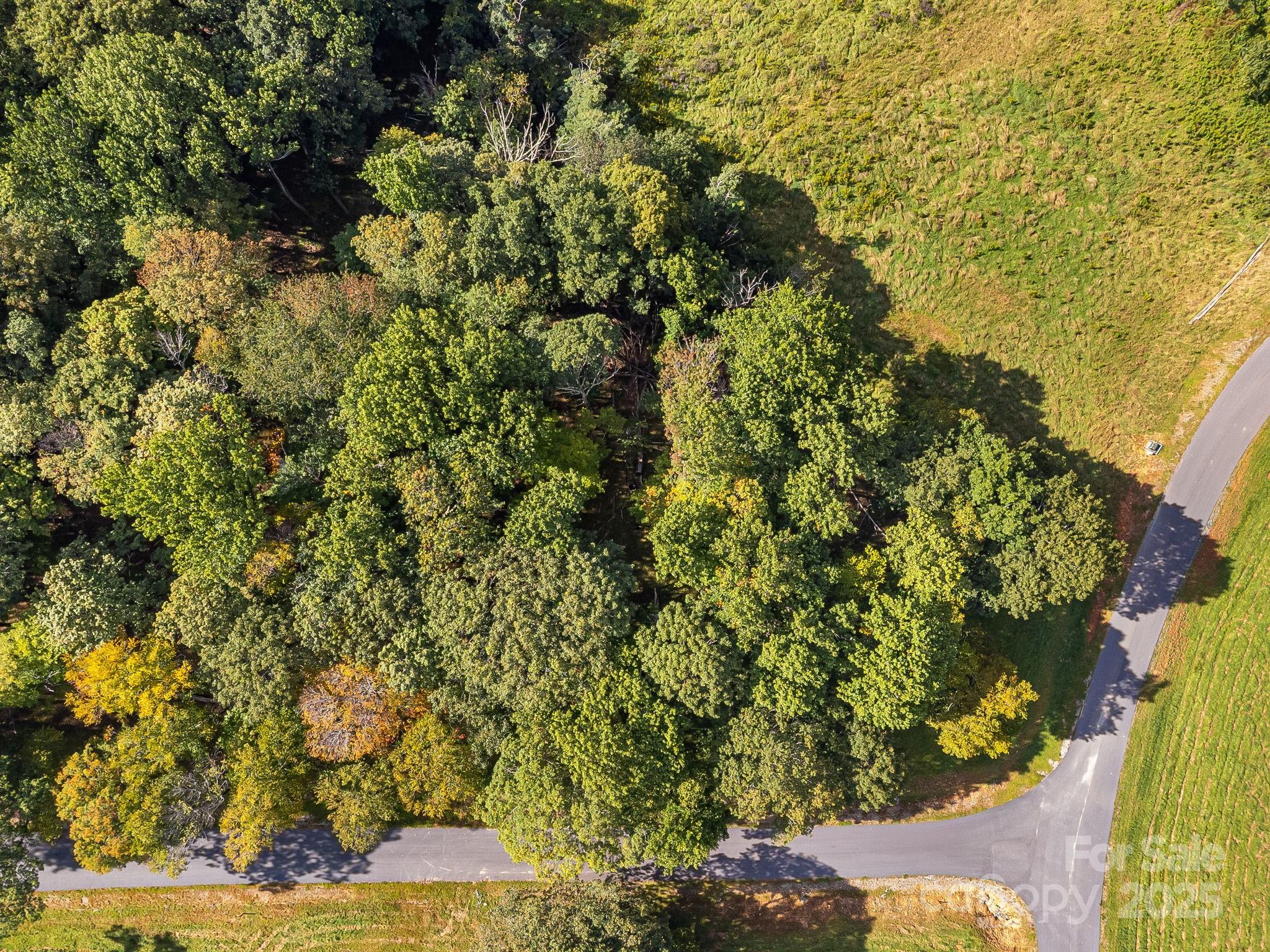 #62 Poplar Forest Drive Boone NC 28607