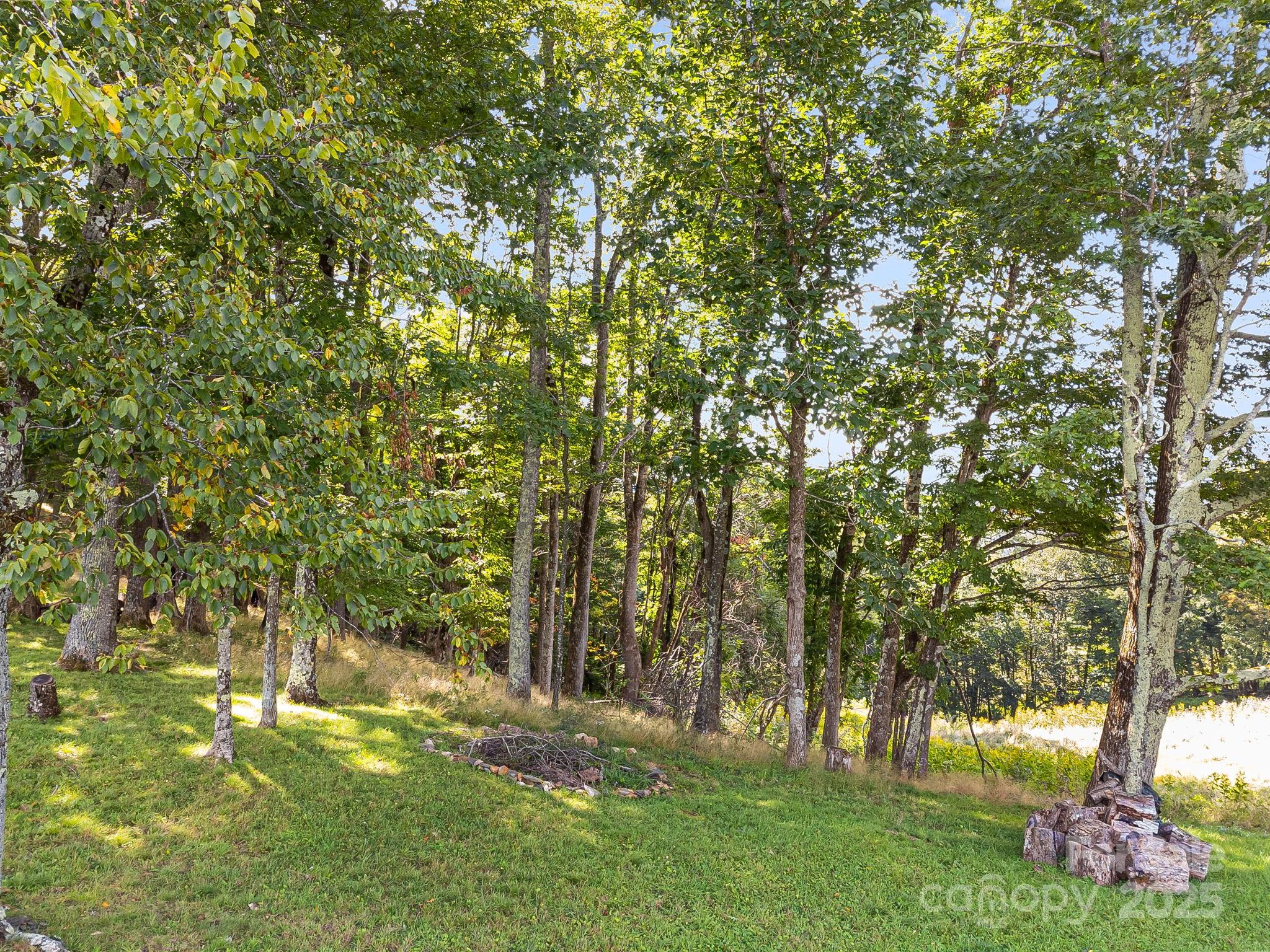 #62 Poplar Forest Drive Boone NC 28607