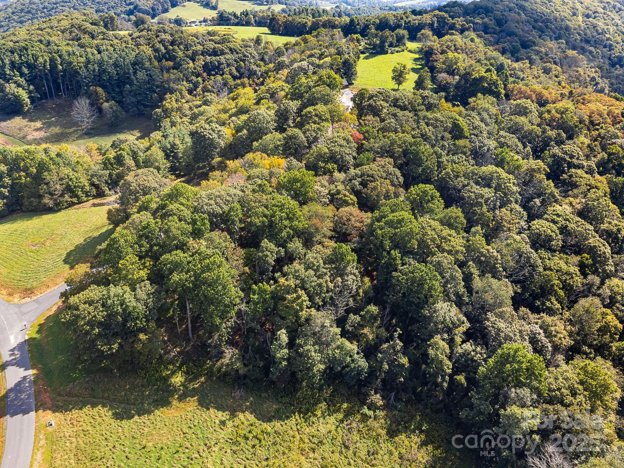 #62 Poplar Forest Drive Boone NC 28607