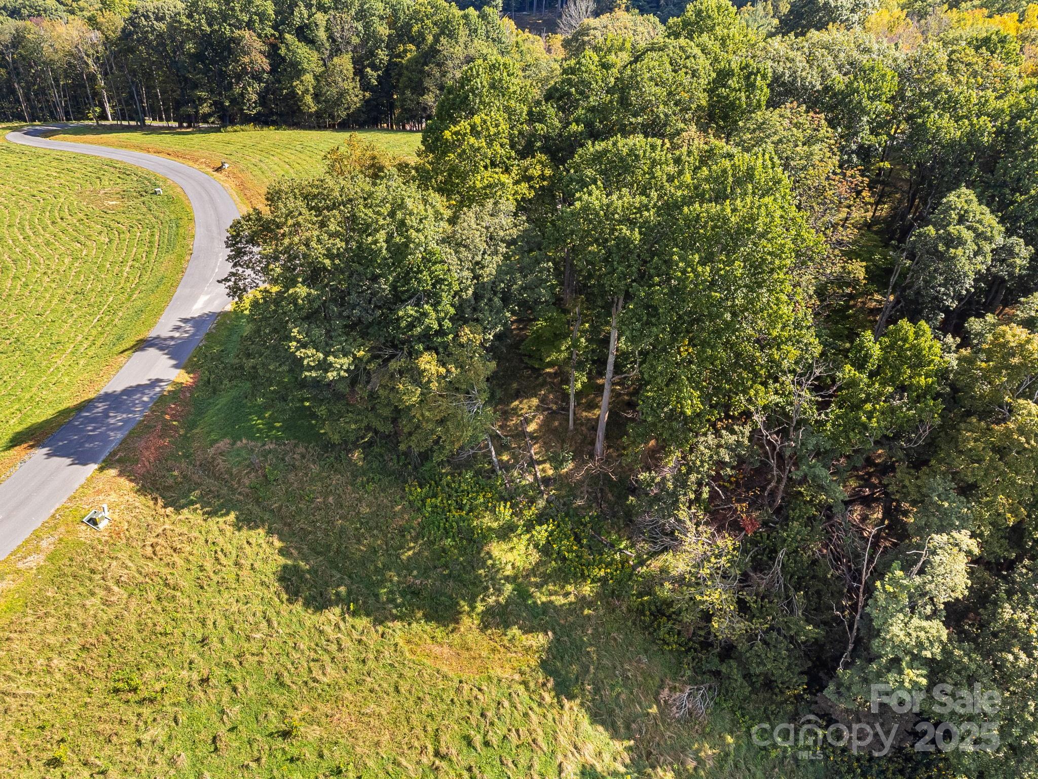 #62 Poplar Forest Drive Boone NC 28607