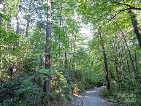 J 29 Cherokee Trace Lake Toxaway NC 28747