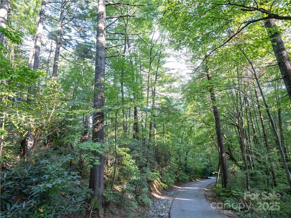 J 29 Cherokee Trace Lake Toxaway NC 28747