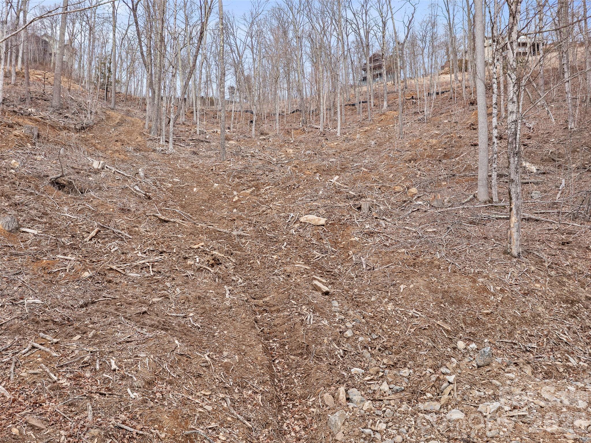Lot 30 Mountain Air Drive Burnsville NC 28714