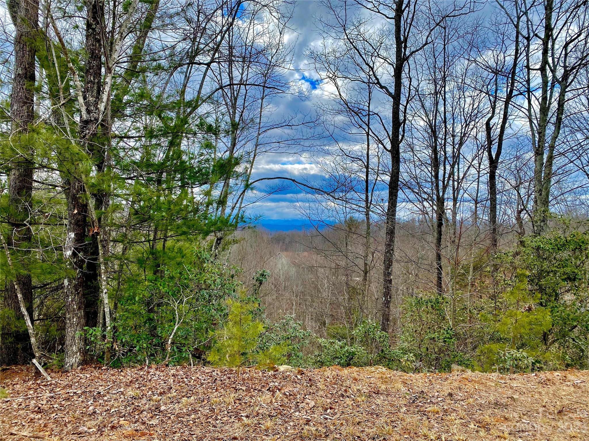 Lot 1 Pinnacle Drive Boomer NC 28665